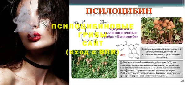 молекула духа Белокуриха
