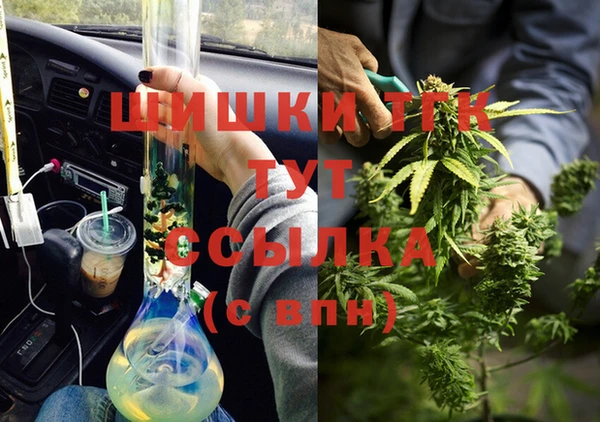 молекула духа Белокуриха